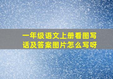 一年级语文上册看图写话及答案图片怎么写呀