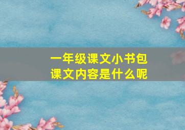 一年级课文小书包课文内容是什么呢