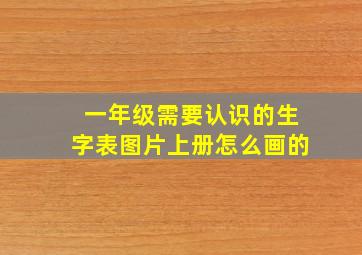 一年级需要认识的生字表图片上册怎么画的