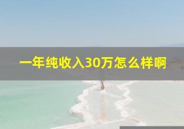 一年纯收入30万怎么样啊