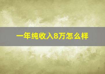 一年纯收入8万怎么样