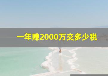 一年赚2000万交多少税