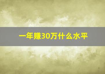 一年赚30万什么水平