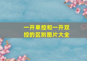 一开单控和一开双控的区别图片大全