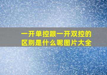 一开单控跟一开双控的区别是什么呢图片大全