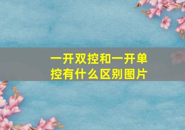 一开双控和一开单控有什么区别图片