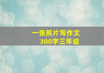 一张照片写作文300字三年级