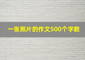 一张照片的作文500个字数