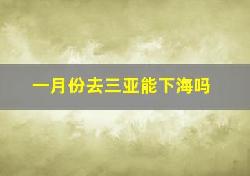 一月份去三亚能下海吗