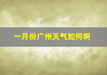 一月份广州天气如何啊