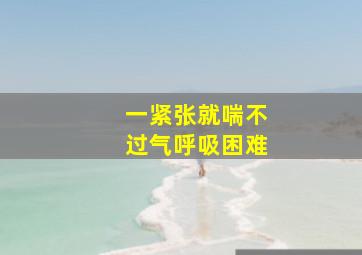 一紧张就喘不过气呼吸困难