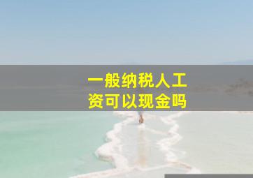 一般纳税人工资可以现金吗