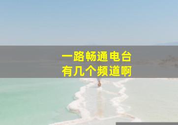 一路畅通电台有几个频道啊