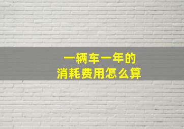 一辆车一年的消耗费用怎么算