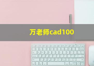 万老师cad100