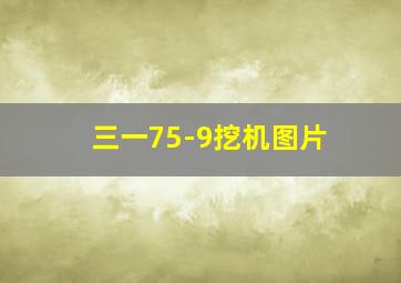 三一75-9挖机图片