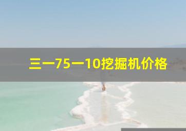 三一75一10挖掘机价格