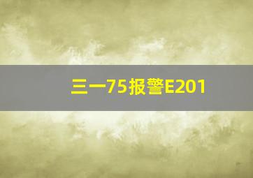 三一75报警E201