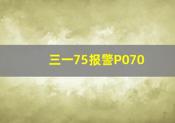 三一75报警P070