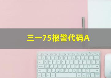 三一75报警代码A