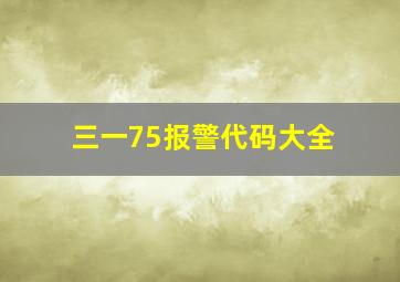 三一75报警代码大全