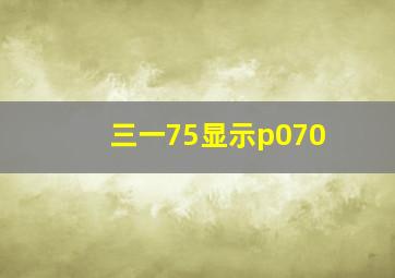 三一75显示p070