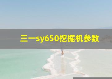 三一sy650挖掘机参数