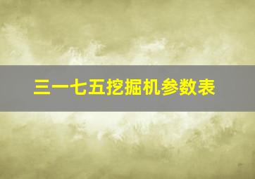 三一七五挖掘机参数表