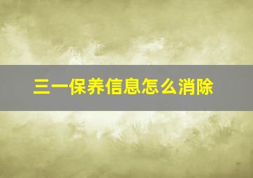 三一保养信息怎么消除