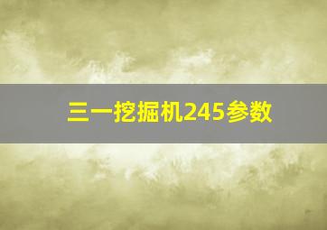 三一挖掘机245参数