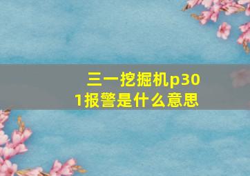 三一挖掘机p301报警是什么意思