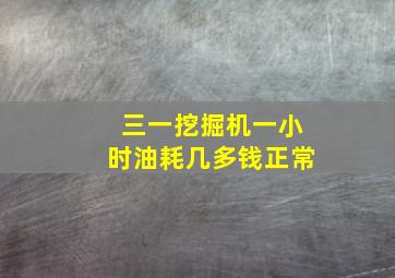 三一挖掘机一小时油耗几多钱正常