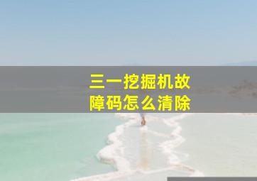 三一挖掘机故障码怎么清除