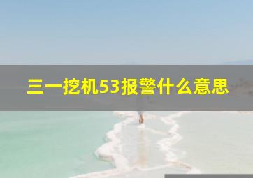 三一挖机53报警什么意思