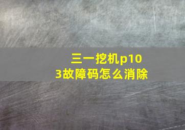 三一挖机p103故障码怎么消除