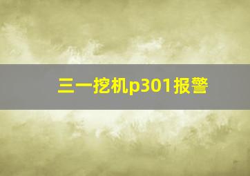 三一挖机p301报警