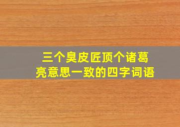 三个臭皮匠顶个诸葛亮意思一致的四字词语