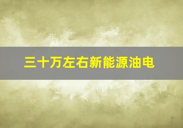 三十万左右新能源油电