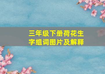 三年级下册荷花生字组词图片及解释