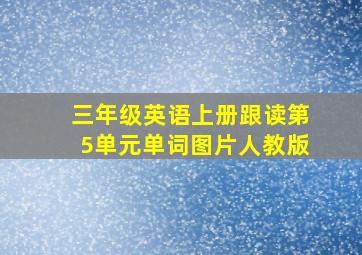 三年级英语上册跟读第5单元单词图片人教版