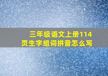 三年级语文上册114页生字组词拼音怎么写