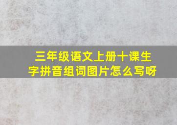 三年级语文上册十课生字拼音组词图片怎么写呀