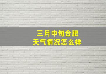 三月中旬合肥天气情况怎么样