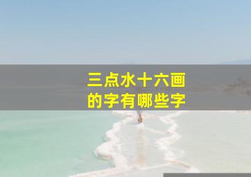 三点水十六画的字有哪些字