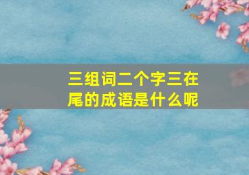 三组词二个字三在尾的成语是什么呢