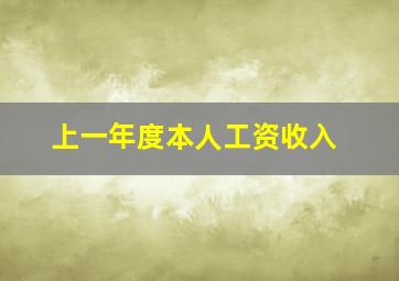 上一年度本人工资收入