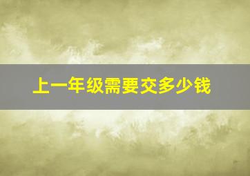 上一年级需要交多少钱