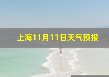 上海11月11日天气预报