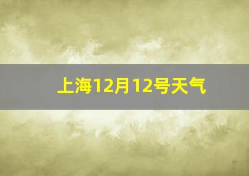 上海12月12号天气