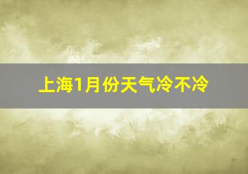 上海1月份天气冷不冷